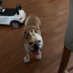 Meet your Posher, Janelle